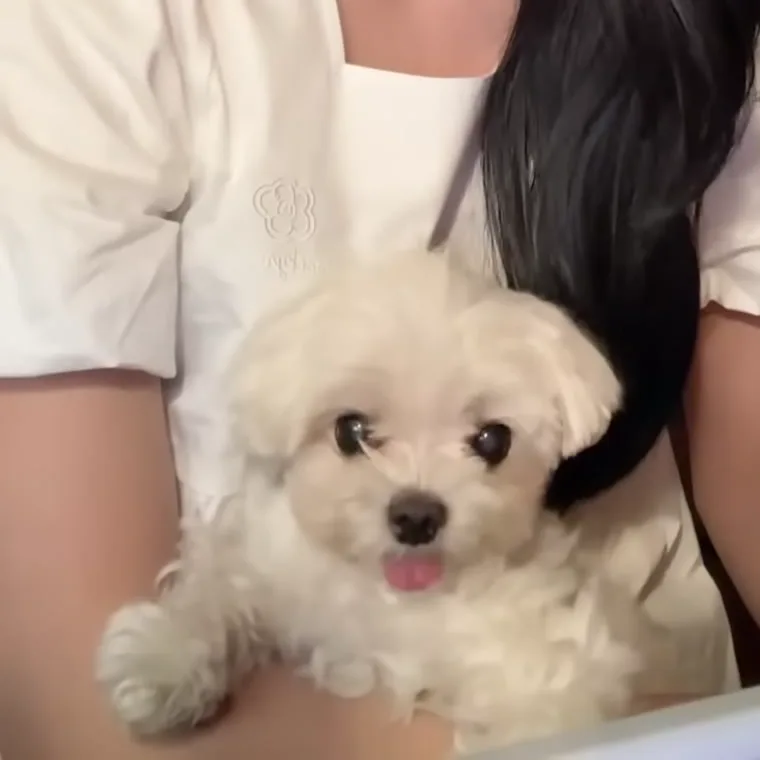원이의 반려가족 별이